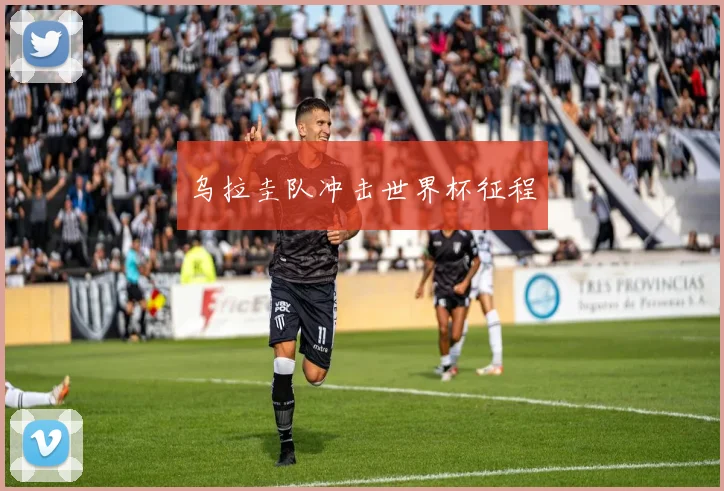 乌拉圭队冲击世界杯征程