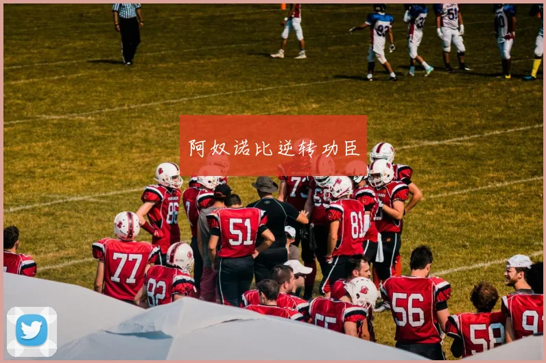 阿奴诺比逆转功臣