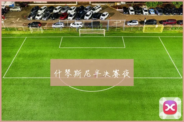 什琴斯尼半决赛夜
