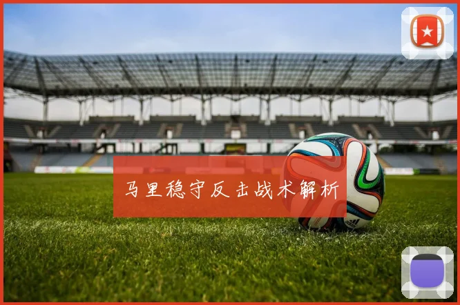 马里稳守反击战术解析