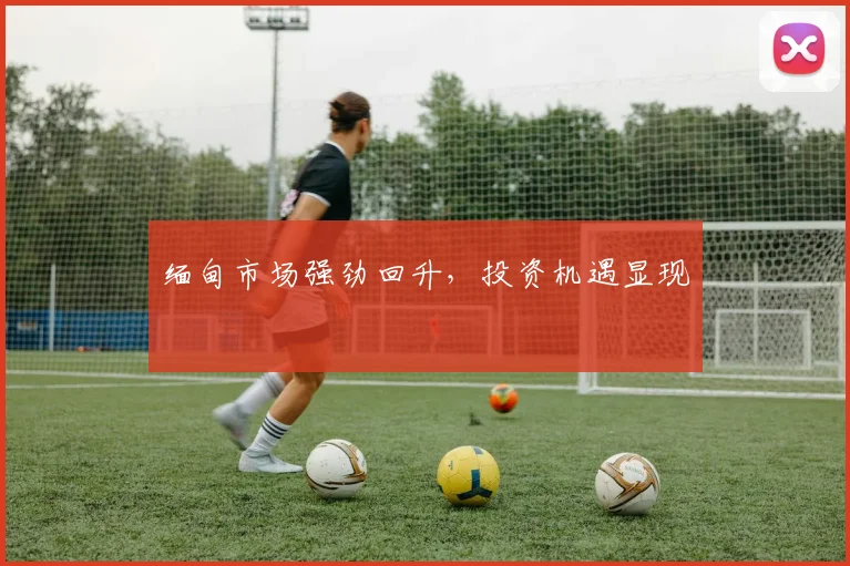 缅甸市场强劲回升，投资机遇显现
