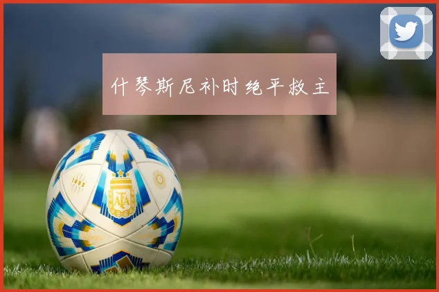 什琴斯尼补时绝平救主