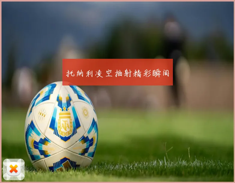 托纳利凌空抽射精彩瞬间