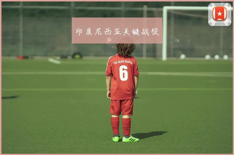 印度尼西亚关键战役