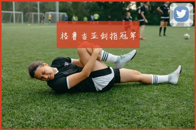 格鲁吉亚剑指冠军
