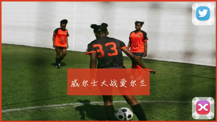 威尔士大战爱尔兰