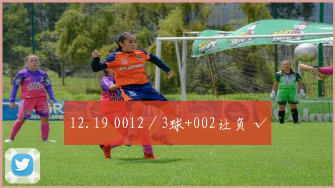 12.19 0012／3球+002让负 √