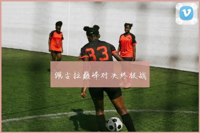 佩古拉巅峰对决终极战