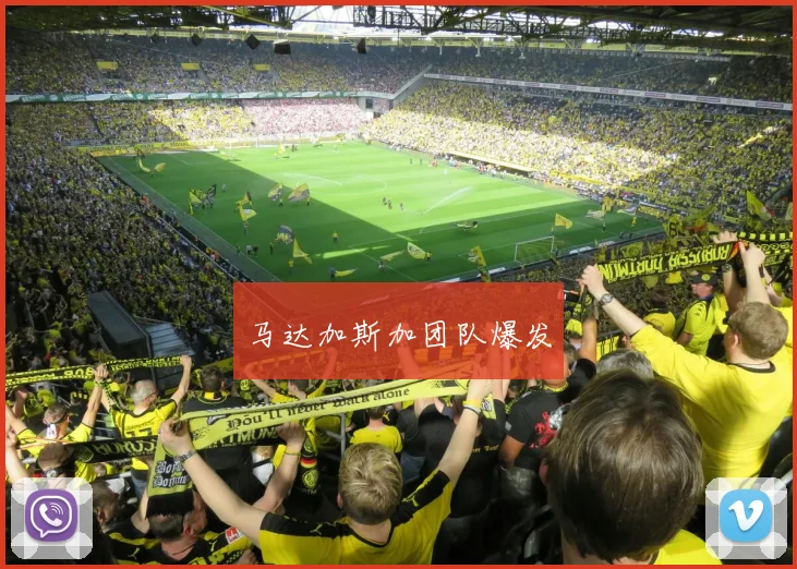 马达加斯加团队爆发