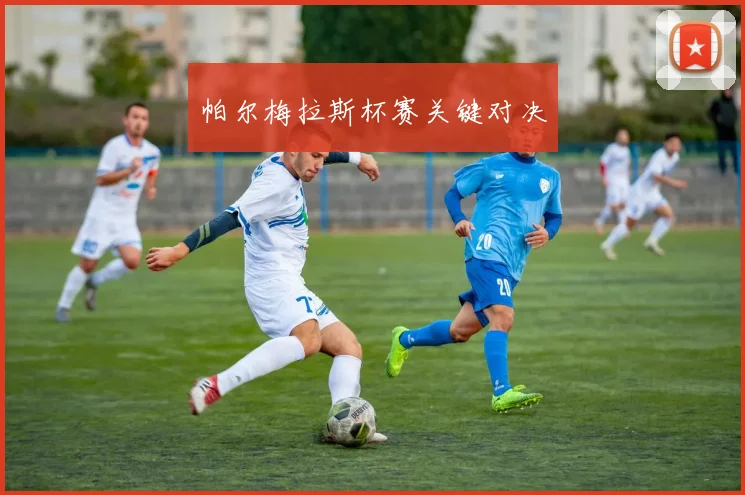 帕尔梅拉斯杯赛关键对决