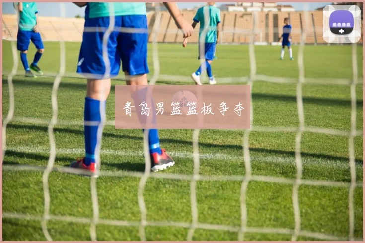 青岛男篮篮板争夺