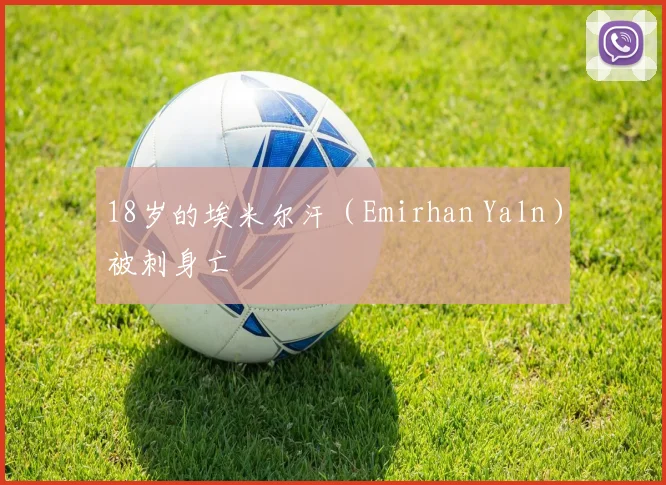 18岁的埃米尔汗（Emirhan Yaln）被刺身亡