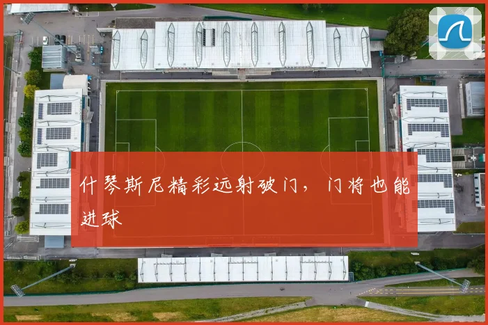 什琴斯尼精彩远射破门,门将也能进球