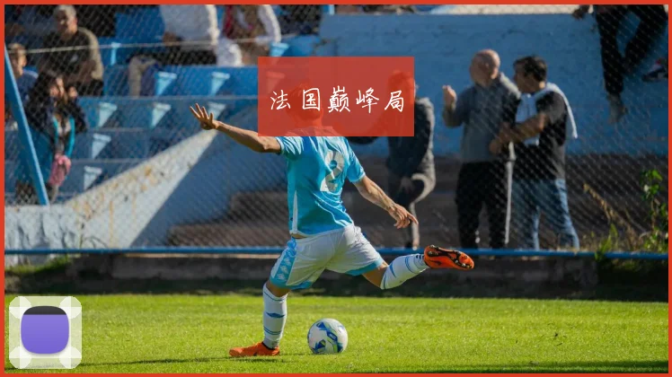 法国巅峰局
