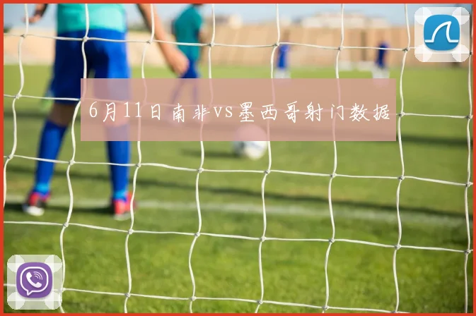 6月11日南非vs墨西哥射门数据