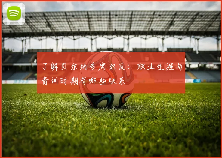 了解贝尔纳多席尔瓦:职业生涯与青训时期有哪些联系