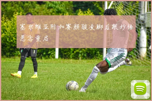 塞尔维亚附加赛颜骏凌脚后跟妙传悬念重启