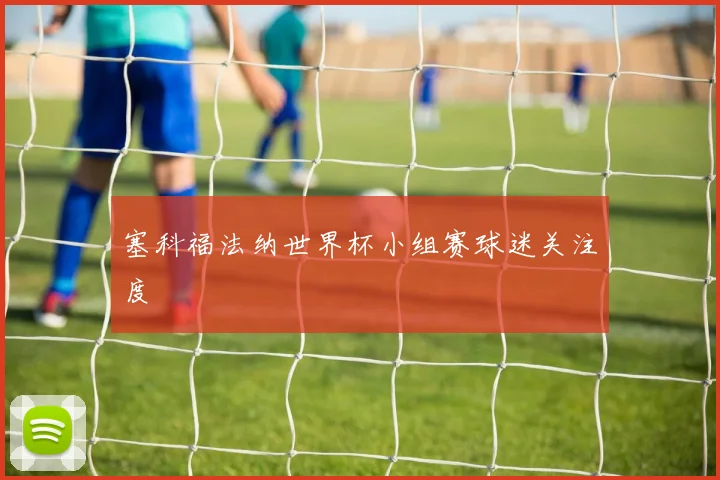 塞科福法纳世界杯小组赛球迷关注度