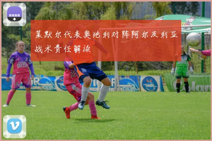 莱默尔代表奥地利对阵阿尔及利亚战术责任解读